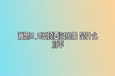 雅思6.5各项要多少分 是什么水平