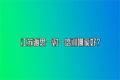 江苏雅思一对一培训哪家好？