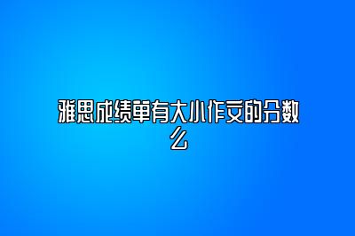 雅思成绩单有大小作文的分数么