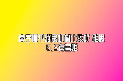 南宁哪个雅思机构比较好 雅思6.5有多难