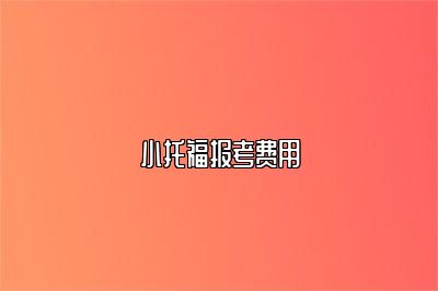 小托福报考费用