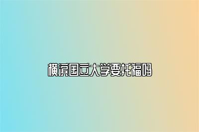 横滨国立大学要托福吗