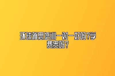 环球雅思培训一对一好吗？学费贵吗？