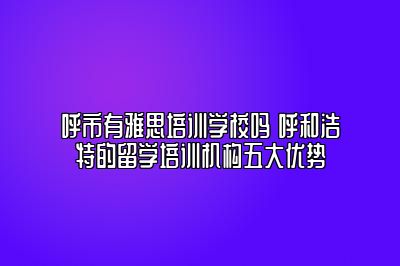 呼市有雅思培训学校吗 呼和浩特的留学培训机构五大优势