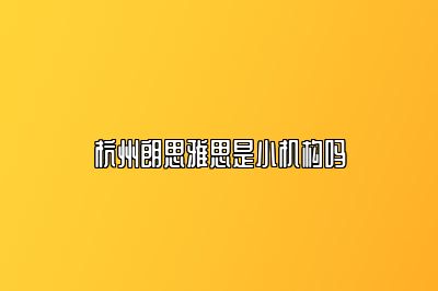 杭州朗思雅思是小机构吗