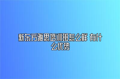 新东方雅思培训班怎么样 有什么优势