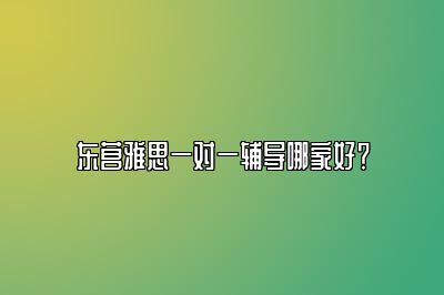 东营雅思一对一辅导哪家好？