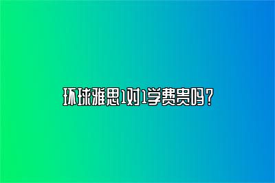 环球雅思1对1学费贵吗？