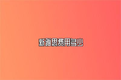 新雅思费用多少