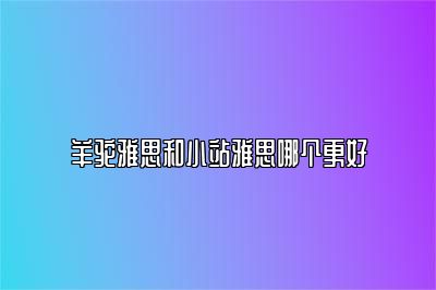 羊驼雅思和小站雅思哪个更好