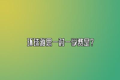 环球雅思一对一学费是？