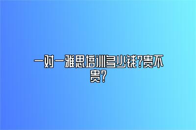 一对一雅思培训多少钱？贵不贵？