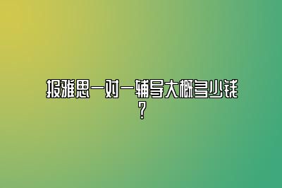 报雅思一对一辅导大概多少钱？