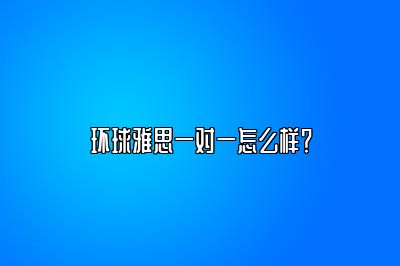 环球雅思一对一怎么样？