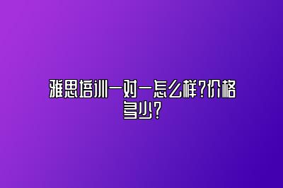 雅思培训一对一怎么样？价格多少？