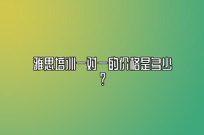 雅思培训一对一的价格是多少？