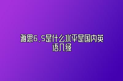 雅思6.5是什么水平是国内英语几级