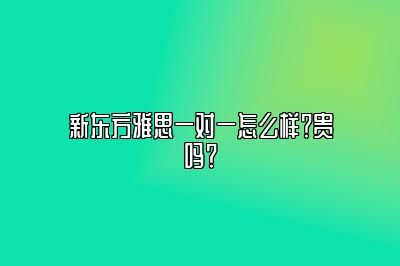 新东方雅思一对一怎么样？贵吗？