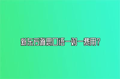 新东方雅思口语一对一费用？