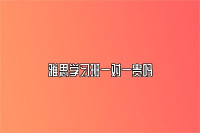 雅思学习班一对一贵吗