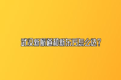 武汉新航道和新东方怎么选？