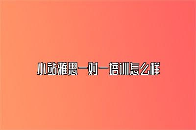 小站雅思一对一培训怎么样