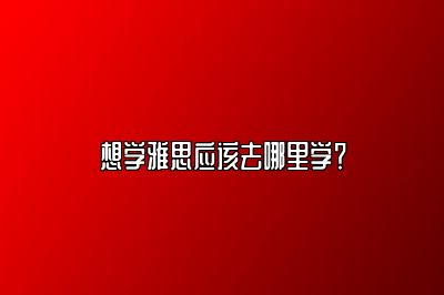 想学雅思应该去哪里学？