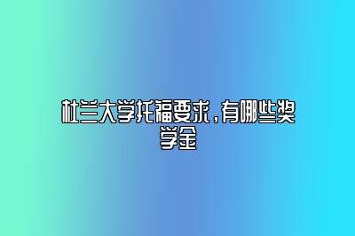 杜兰大学托福要求，有哪些奖学金