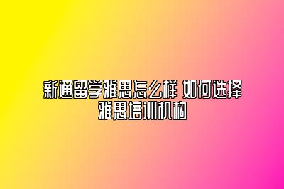 新通留学雅思怎么样 如何选择雅思培训机构