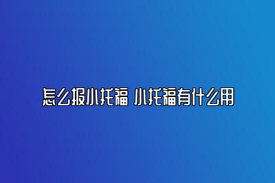 怎么报小托福 小托福有什么用