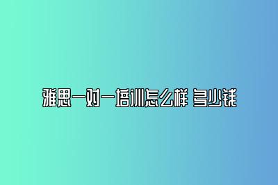 雅思一对一培训怎么样 多少钱