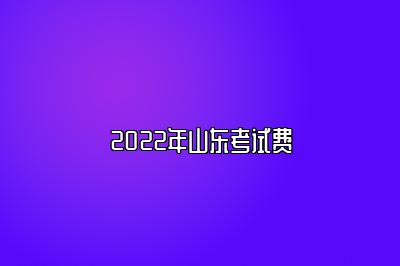 2022年山东考试费