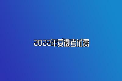 2022年安徽考试费