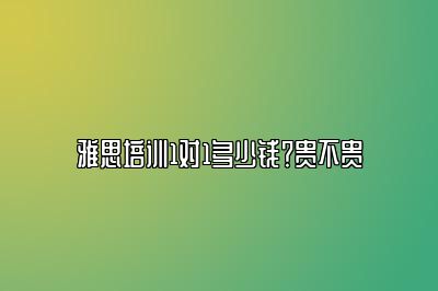 雅思培训1对1多少钱？贵不贵