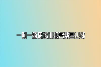 一对一雅思培训报名费多少钱