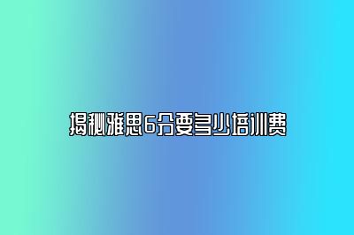 揭秘雅思6分要多少培训费