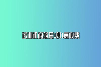 培训机构雅思1对1高收费