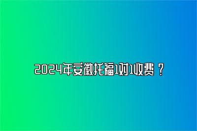 2024年安徽托福1对1收费 ？