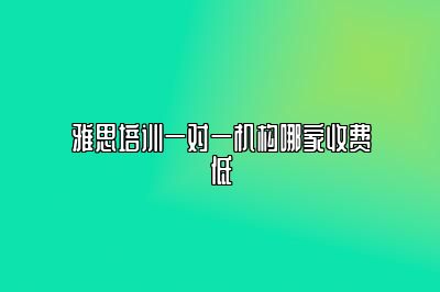 雅思培训一对一机构哪家收费低