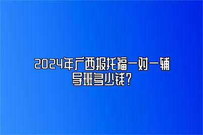 2024年广西报托福一对一辅导班多少钱？