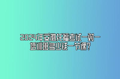 2024年安徽托福考试一对一培训班多少钱一节课？