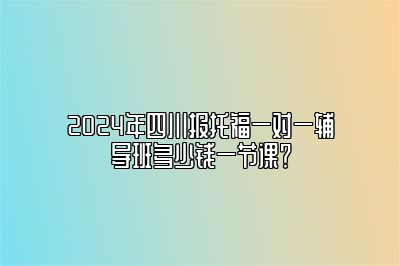 2024年四川报托福一对一辅导班多少钱一节课？