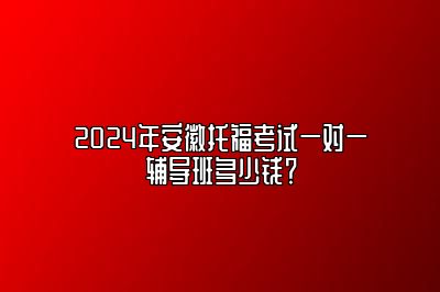 2024年安徽托福考试一对一辅导班多少钱？