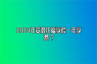 2024年安徽托福学校一年学费 ？