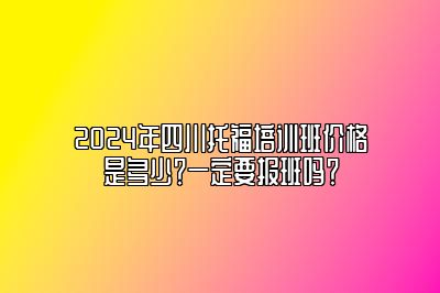 2024年四川托福培训班价格是多少？一定要报班吗？