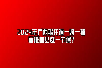 2024年广西报托福一对一辅导班多少钱一节课？