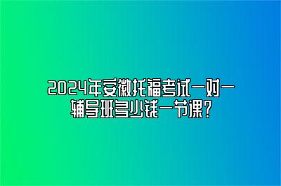 2024年安徽托福考试一对一辅导班多少钱一节课？