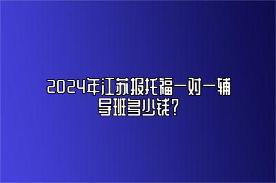 2024年江苏报托福一对一辅导班多少钱？