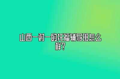 山西一对一的托福辅导班怎么样？