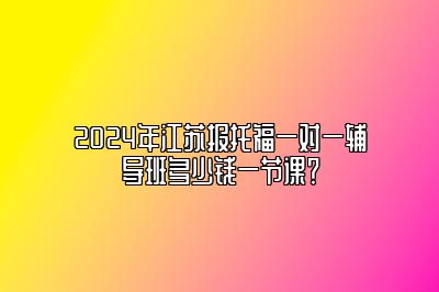 2024年江苏报托福一对一辅导班多少钱一节课？